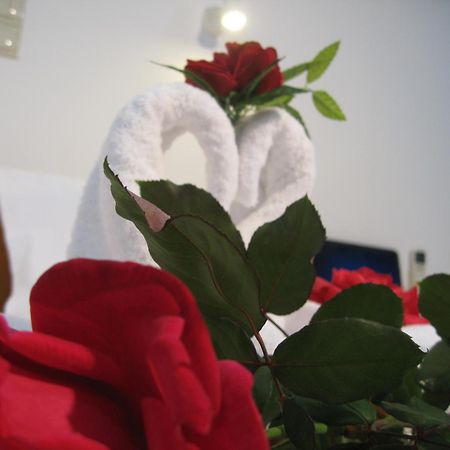 Despina Studios Agia Marina 部屋 写真