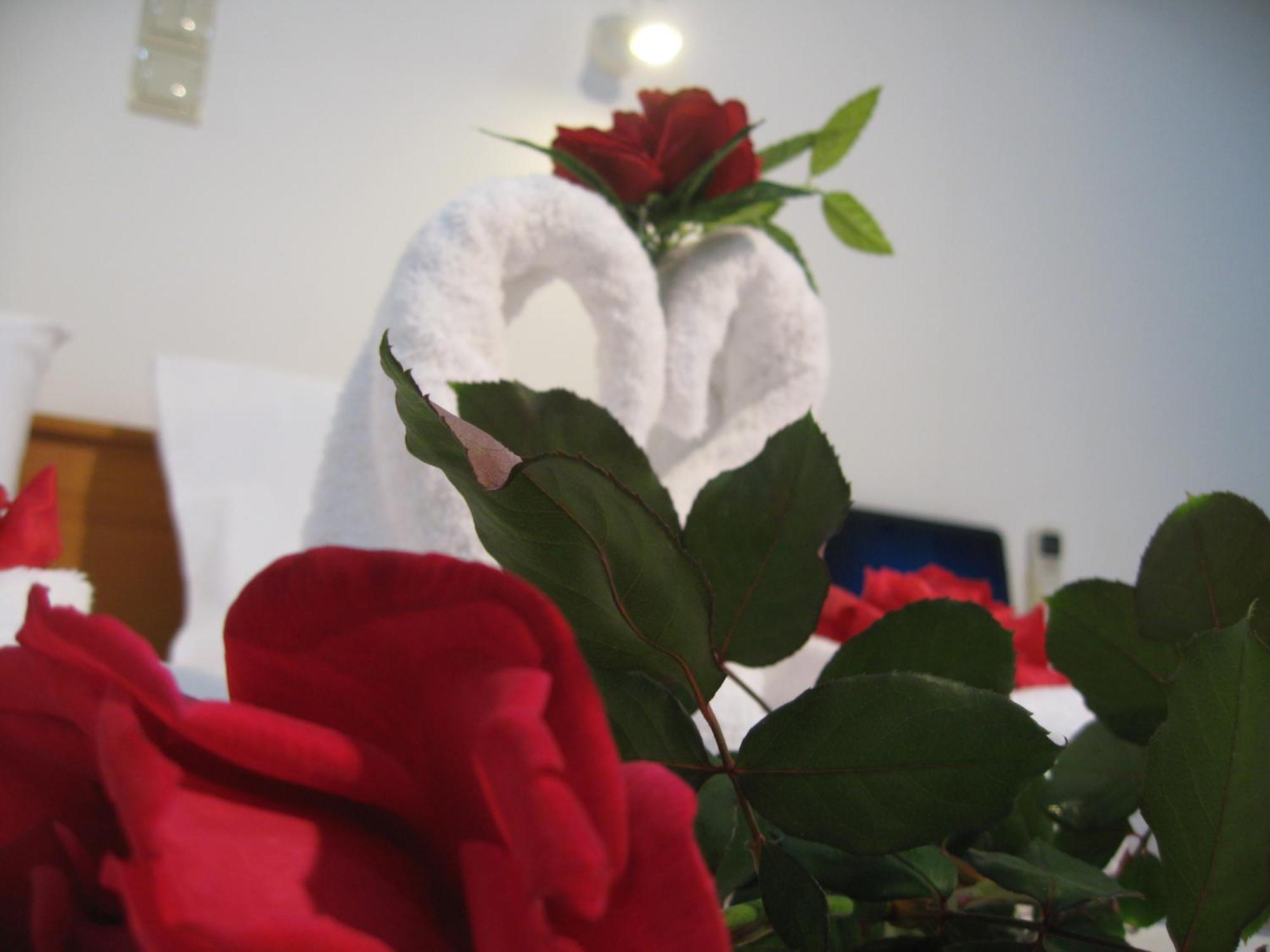 Despina Studios Agia Marina 部屋 写真